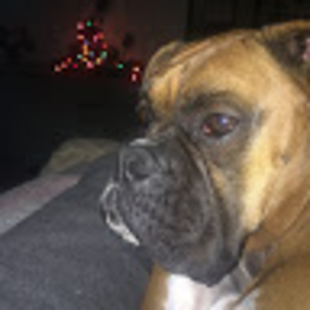 Meet your Posher, Daniel